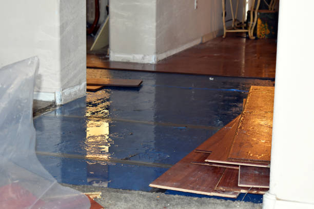 Professional Burst Pipe Cleanup technician working in Lakeland, MI