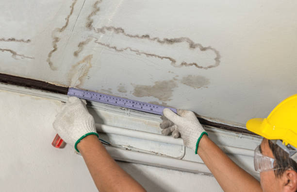 Reliable Burst Pipe Cleanup contractor in Lakeland, MI by Water Damage Irwin
